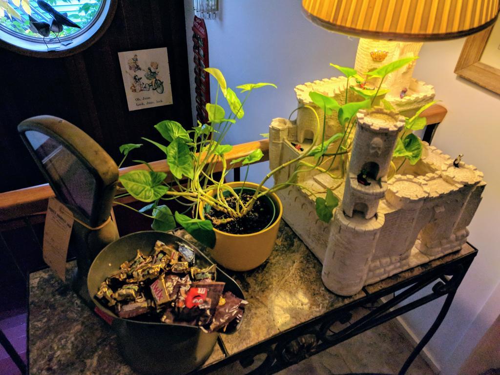 Ann Arbor Bed And Breakfast Экстерьер фото